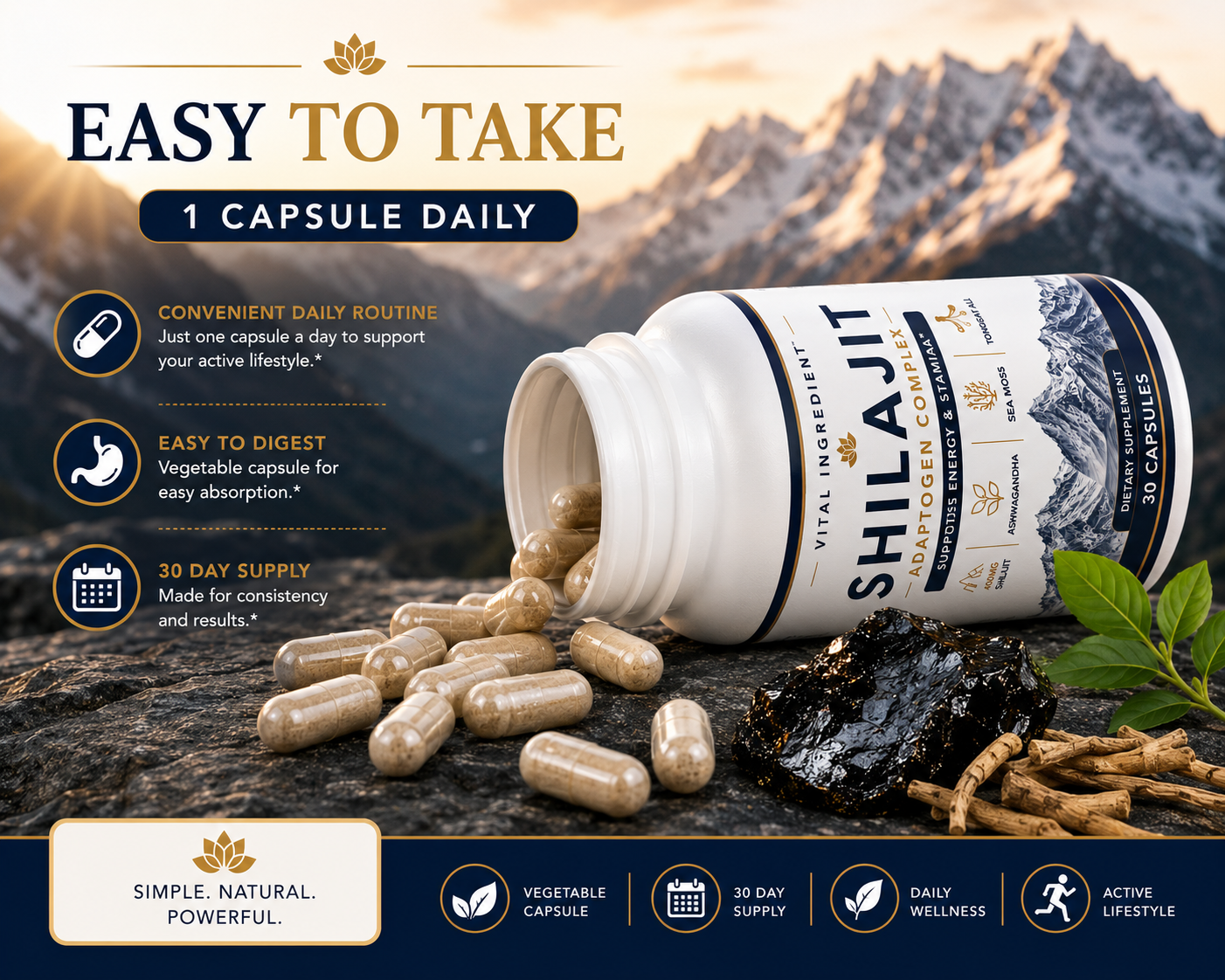 Shilajit Adaptogen Complex | Energy, Focus & Stamina | 4-Herb Concentrated Formula