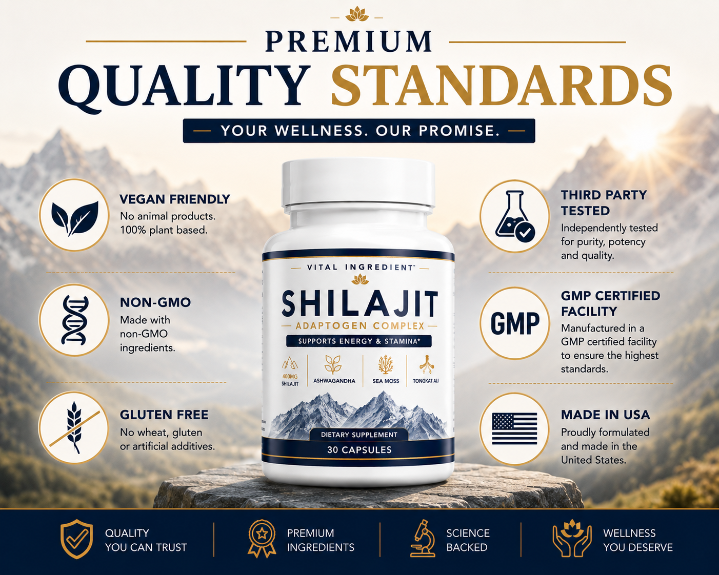 Shilajit Adaptogen Complex | Energy, Focus & Stamina | 4-Herb Concentrated Formula