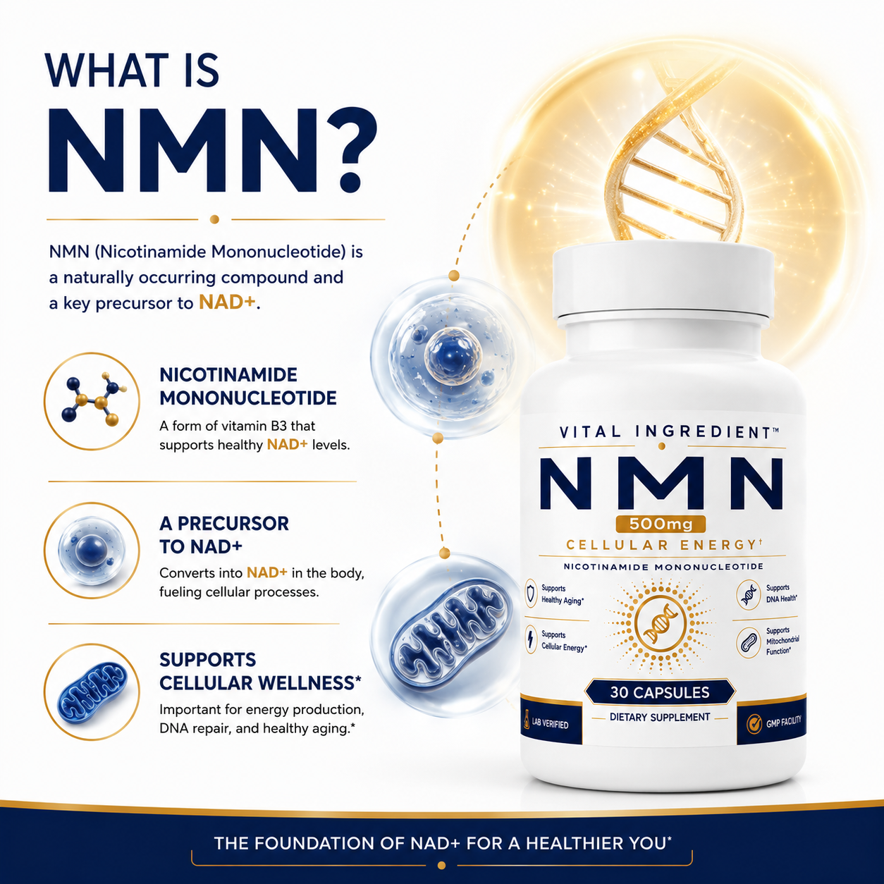 NMN 500mg Capsules | High-Purity NAD+ Precursor Supplement
