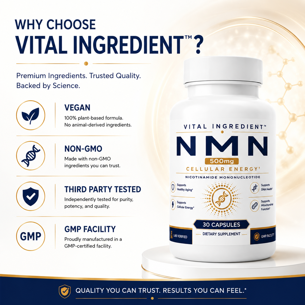 NMN 500mg Capsules | High-Purity NAD+ Precursor Supplement